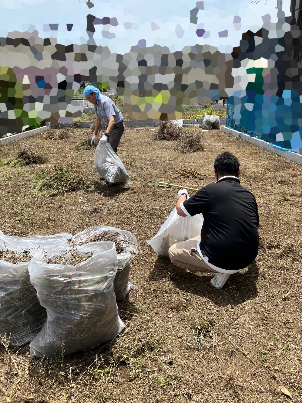 お土地の雑草抜き